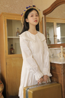 海贼王女帝被海军h