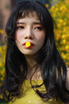 花儿与少年第五季免费观看